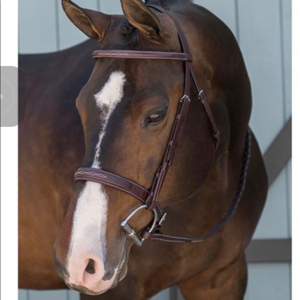 Bridle